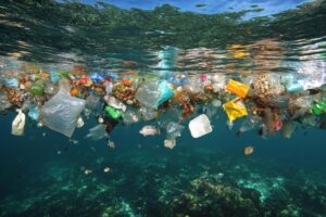 Baixar flutuando Lixo saco dentro calma água reflete de Meio Ambiente preocupações sobre oceano poluição gratuitamente
